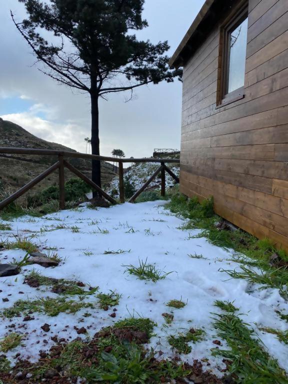 ホテル Mountain Eco Shelter 2 フンシャル エクステリア 写真