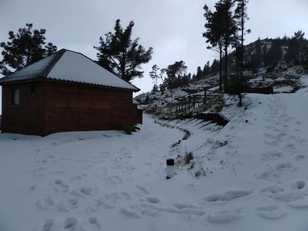 ホテル Mountain Eco Shelter 2 フンシャル エクステリア 写真