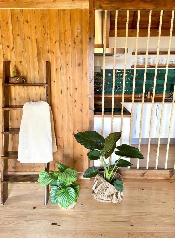 ホテル Mountain Eco Shelter 2 フンシャル エクステリア 写真